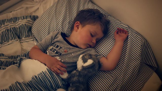 Adorable 2 year old boy sleeps in bed while snuggling puppy stuffed animal