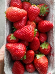 juicy strawberries in cardboard box, directly above