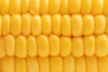 Close-up seeds of fresh sweet corn