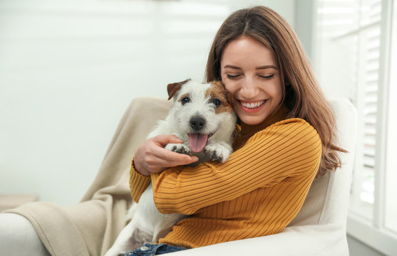 Young Woman With Her Cute Jack Russell Terrier At Home. Lovely Pet