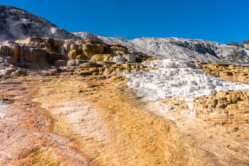 Mammoth Hot Springs in Yellowstone National Park