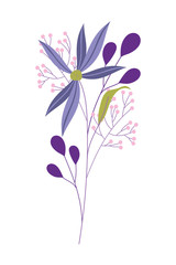 Isolated natural flower with leaves vector design