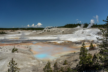 Norris Porcelain Basin in Yellowstone National park