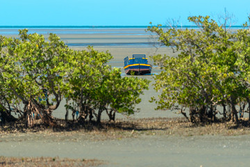 Boat and mangrove on the beach of Requenguela, Icapui, Ceara, Brazil on September 6, 2016