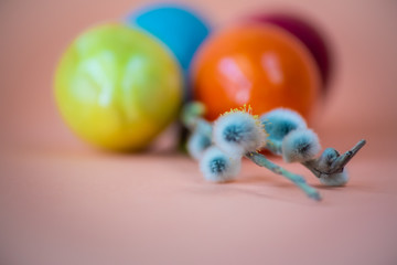 Multi colored Easter eggs and pussy willow