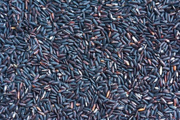 Rice Berry  High quality organic rice from Thailand