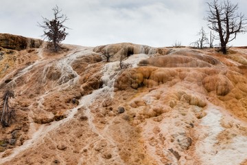 Travertine Terraces at Mammoth Hot Springs