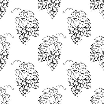 Vector Grape Vines Seamless Pattern Background With Hand Drawn Elements