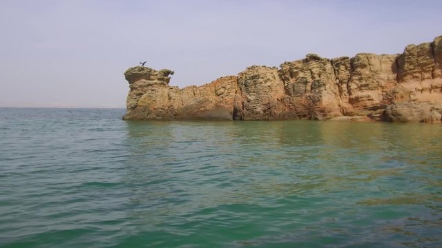 Tracking shot from inside the water of a Cormorant opening her wings on top of a rock cliff near the sea