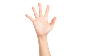 Hand shown five finger symbol on isolated white background for graphic designer.