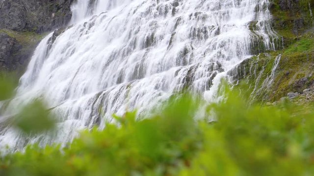 Tilt shot revealing the Dynjandi waterfall, behind plants,  cloudy day, in West fjords, Iceland