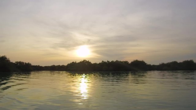 Slow stable tracking shot camera moves inside tide waters of Avicennia marina with trees inside water during a stunning sunset