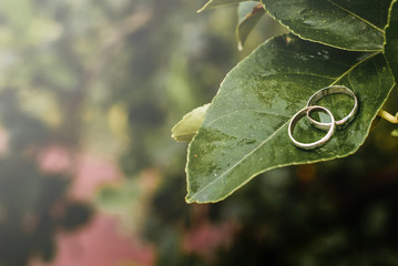 rings
