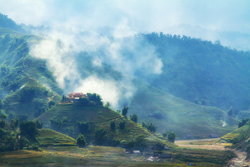  Beautiful landscape yellow Rice filed terraces at Lao Chai, Sapa, Vietnam