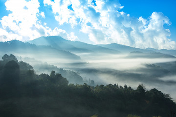 Strawberry garden at Doi Ang Khang , Chiang Mai, Thailand