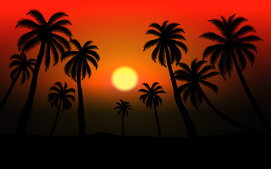 Naklejka na ściany i meble sunset on the beach with palm tree
