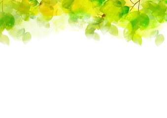 Poster リーフ 葉 葉っぱ 木 樹 新緑 樹木 光 植物 爽やか 背景 風景 Eco エコロジー 環境 初夏 夏 イラスト 素材 木漏れ日 グリーン 枝 木陰 空 若葉 エコロジーイメージ 青葉 文字スペース バックグラウンド 緑 季節 四季 木の葉 Poster リーフ 葉 葉っぱ 木 樹 新緑 樹木 光 植物 爽やか 背景 風景 Eco エコロジー 環境 初夏 夏 イラスト 素材 木漏れ日 グリーン 枝 木陰 空 若葉 エコロジーイメージ 青葉 文字スペース バックグラウンド 緑 季節 四季 木の葉