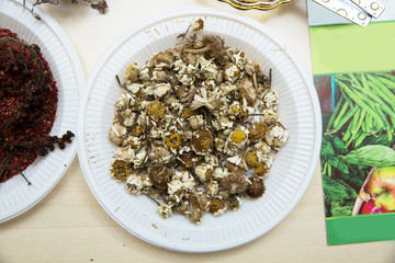 dried chamomile on a white plate . Dried chamomile in a white plastic plate .