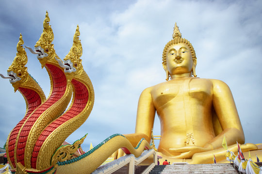 The biggest sitting Buddha image in Thailand at Wat Muang Temple. The image, made of cement and painted in gold color.