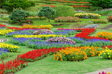 Famous ornamental garden with colorful flowers in norther of Thailand