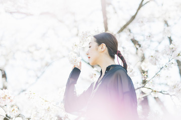 満開の桜と東洋美を備えた女性