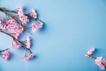 Foto op Canvas Artificial cherry blossom flower on blue background. Spring season image. © Tsurukame Design