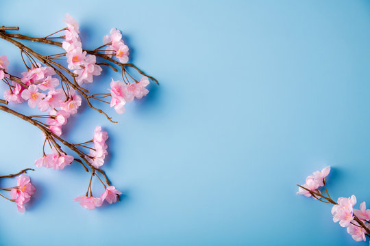 Artificial cherry blossom flower on blue background. Spring season image.
