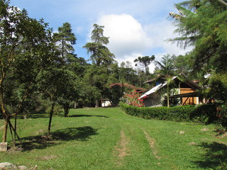 Fototapeta premium Buildings harmonized with the original vegetation