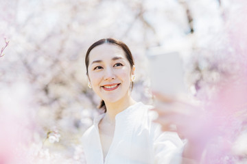 スマートフォンで桜を撮る女性