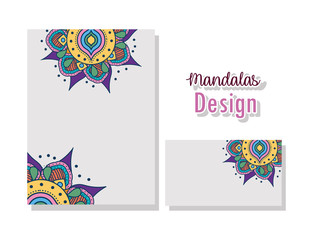 Isolated mandalas cards vector design