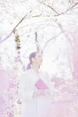 満開の桜の中で読書をする女性