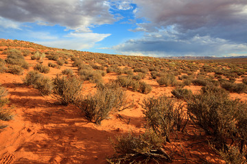 Page, Arizona / USA - August 05, 2015: Landscape near Horseshoe Bend, Page, Arizona, USA