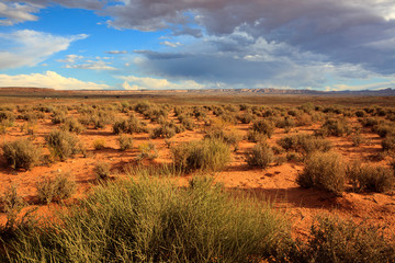 Page, Arizona / USA - August 05, 2015: Landscape near Horseshoe Bend, Page, Arizona, USA