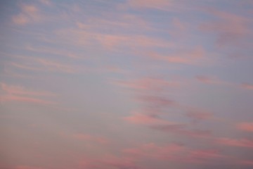 Pink clouds and blue sky