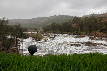 Stood in the rain watching the river flow