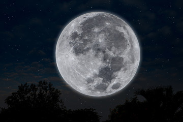 Fototapeta na wymiar Full moon on silhouette tree in the sky.