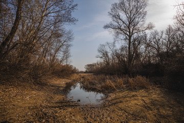 Obraz na płótnie Canvas Dry: dried up river bed