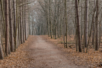 Hiking path Ontario conservation land landscape