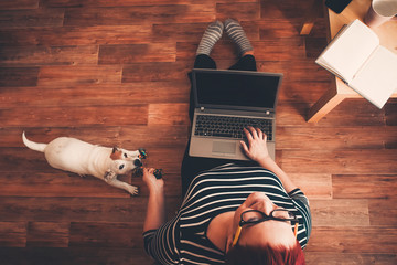 Home office, a woman works online using laptop computer, the dog interferes. Stay home, work...