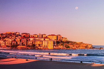 Obraz premium moon rises over north bondi at sunset purple blue pink