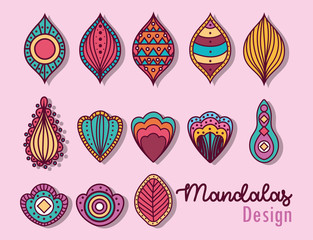 mandala leaves drops feathers vector design