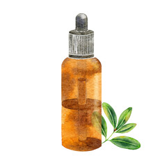 Watercolor glass bottle with tea essential oil.