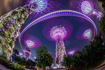 Foto auf Alu-Dibond Gardens by the Bay in Singapore © Tracy Ben