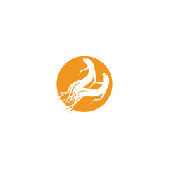 Obraz premium Ginseng Wave Logo Template vector symbol