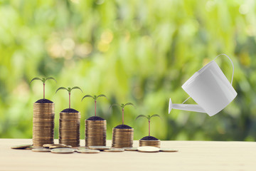 Banking and finance, Saving money concept: Water being poured on green sprout on rows of increasing...