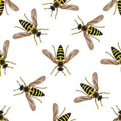 Seamless vector pattern with wasp