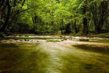 Cheile Nerei - Beusnita. Caras. Romania. Summer in wild Romanian river and forest. Long exposure.