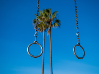 Steel exercise gymnastic rings handing in outdoor area with palm trees in back