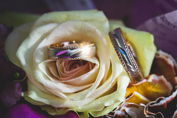 Wedding rings on a white rose