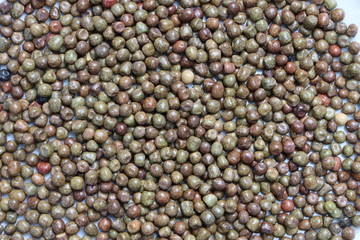 Black peas or parched peas or dapple peas, purple podded peas (Pisum sativum var arvense) as background